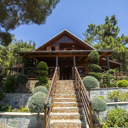 Ricky Chalet Near Troodos Spilia Extérieur photo