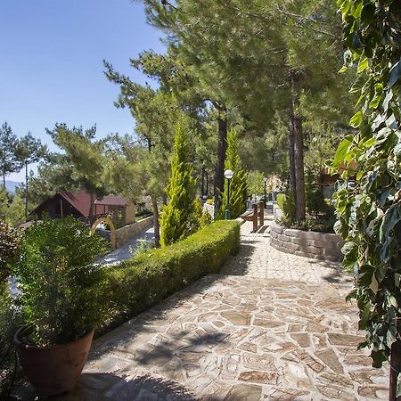 Ricky Chalet Near Troodos Spilia Extérieur photo