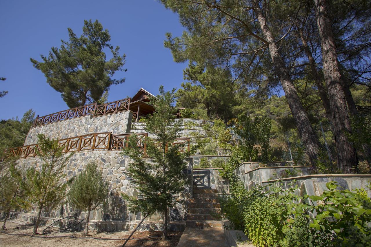 Ricky Chalet Near Troodos Spilia Extérieur photo