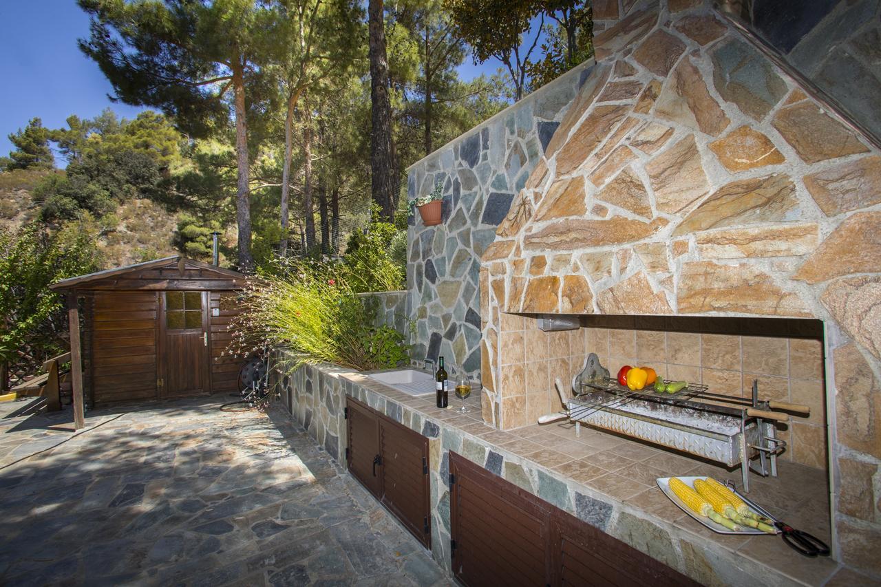 Ricky Chalet Near Troodos Spilia Extérieur photo