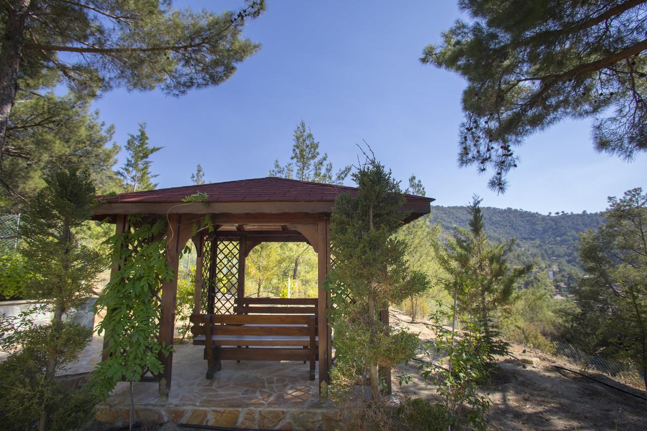Ricky Chalet Near Troodos Spilia Extérieur photo