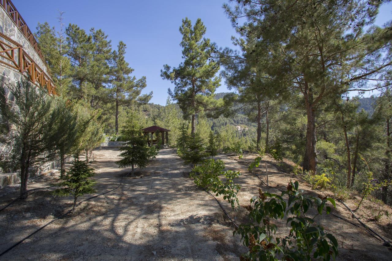 Ricky Chalet Near Troodos Spilia Extérieur photo