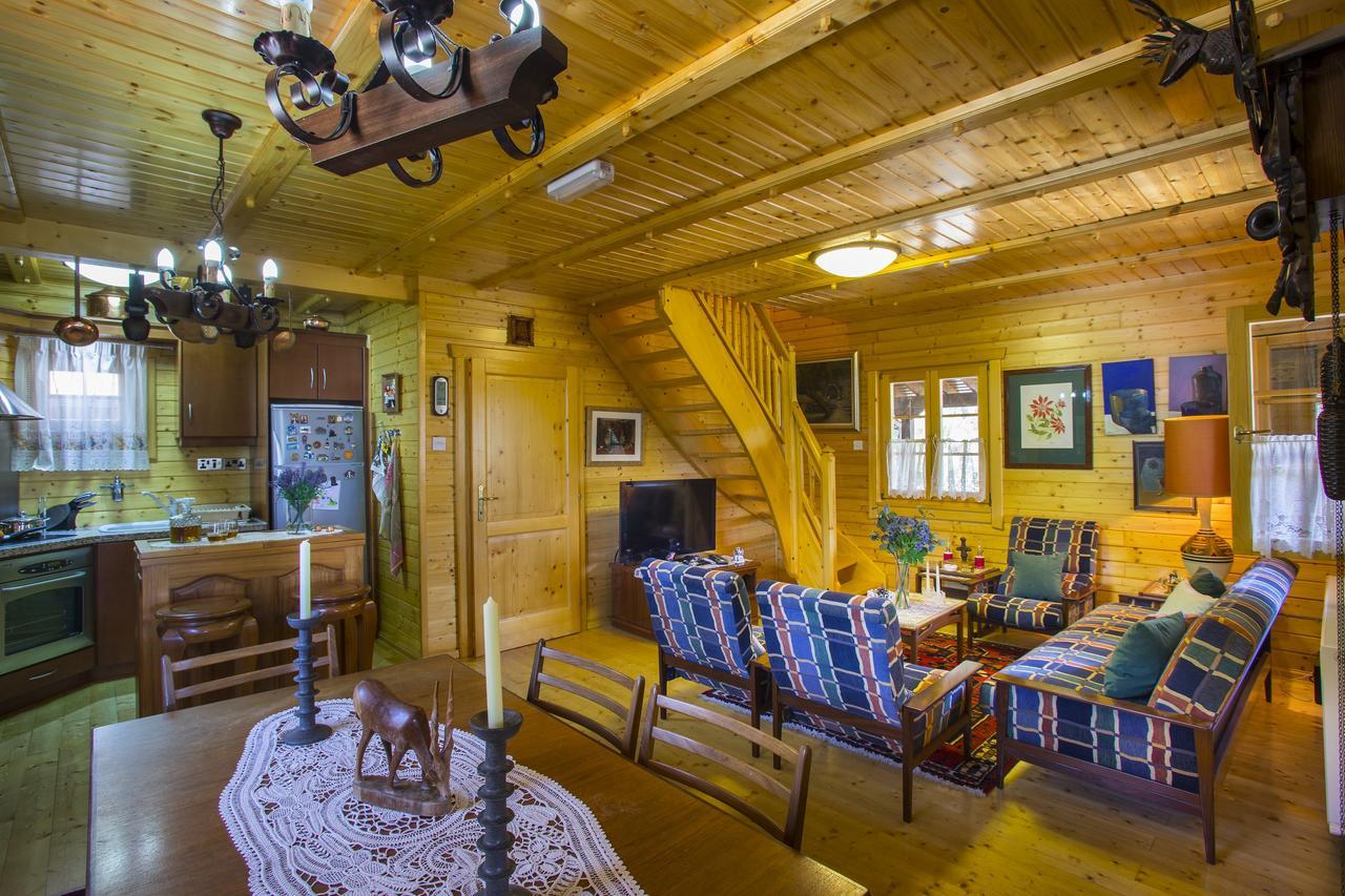 Ricky Chalet Near Troodos Spilia Extérieur photo