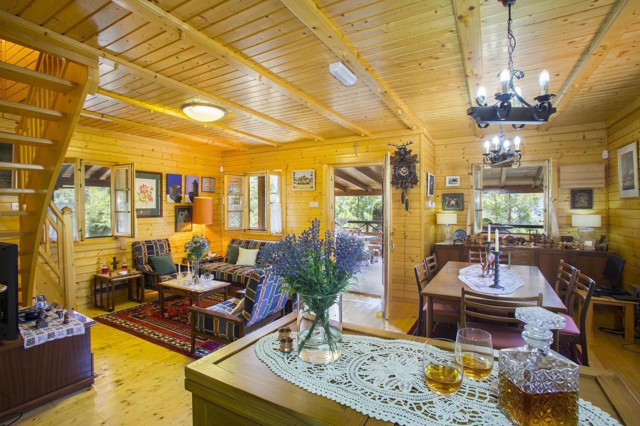 Ricky Chalet Near Troodos Spilia Extérieur photo