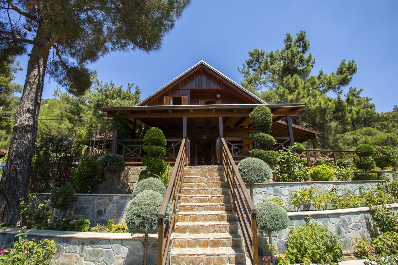 Ricky Chalet Near Troodos Spilia Extérieur photo