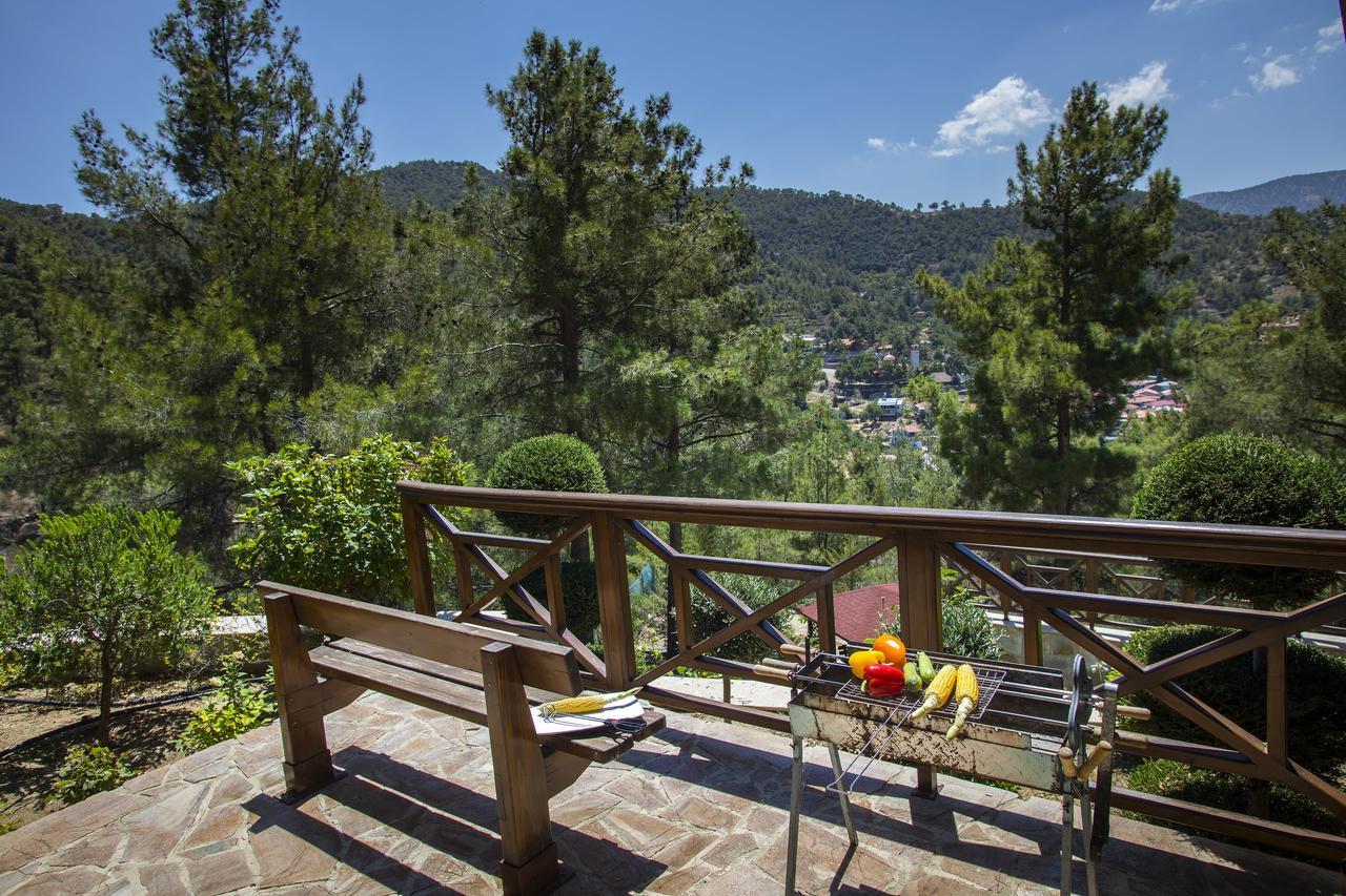 Ricky Chalet Near Troodos Spilia Extérieur photo