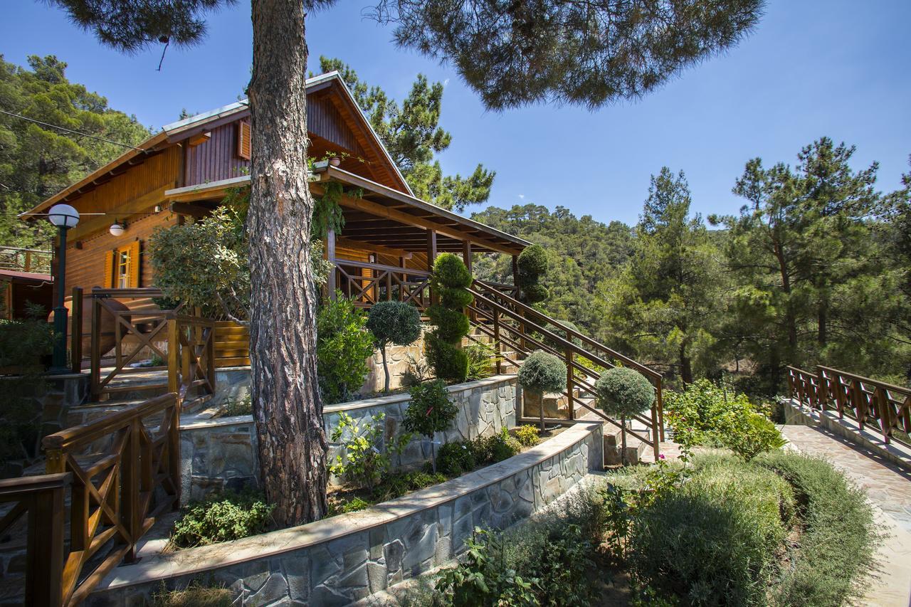 Ricky Chalet Near Troodos Spilia Extérieur photo