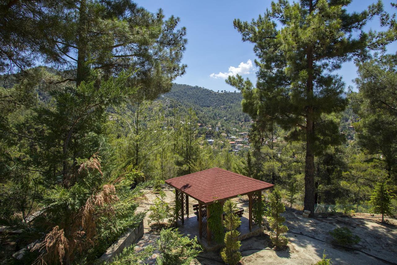 Ricky Chalet Near Troodos Spilia Extérieur photo
