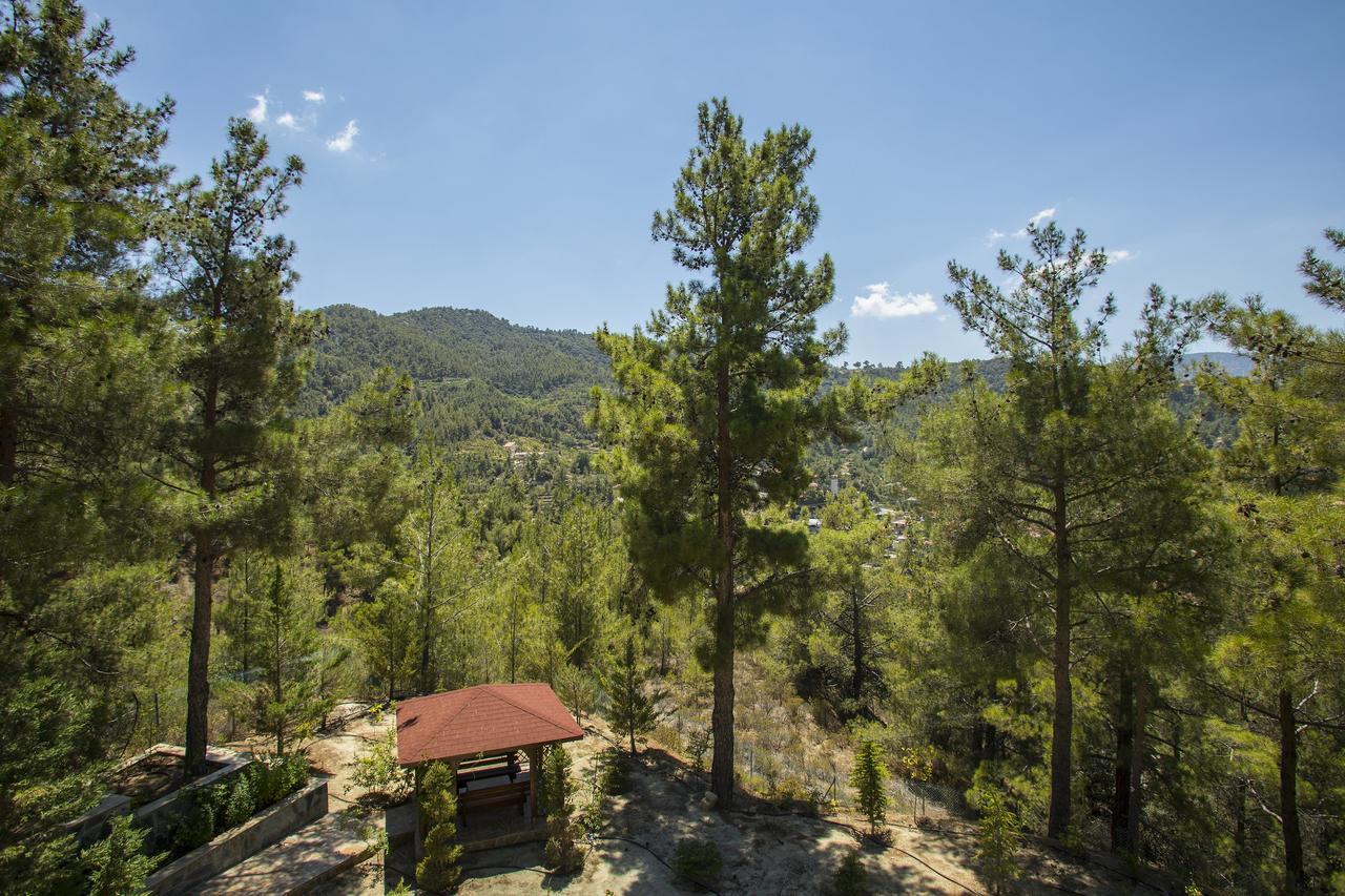 Ricky Chalet Near Troodos Spilia Extérieur photo