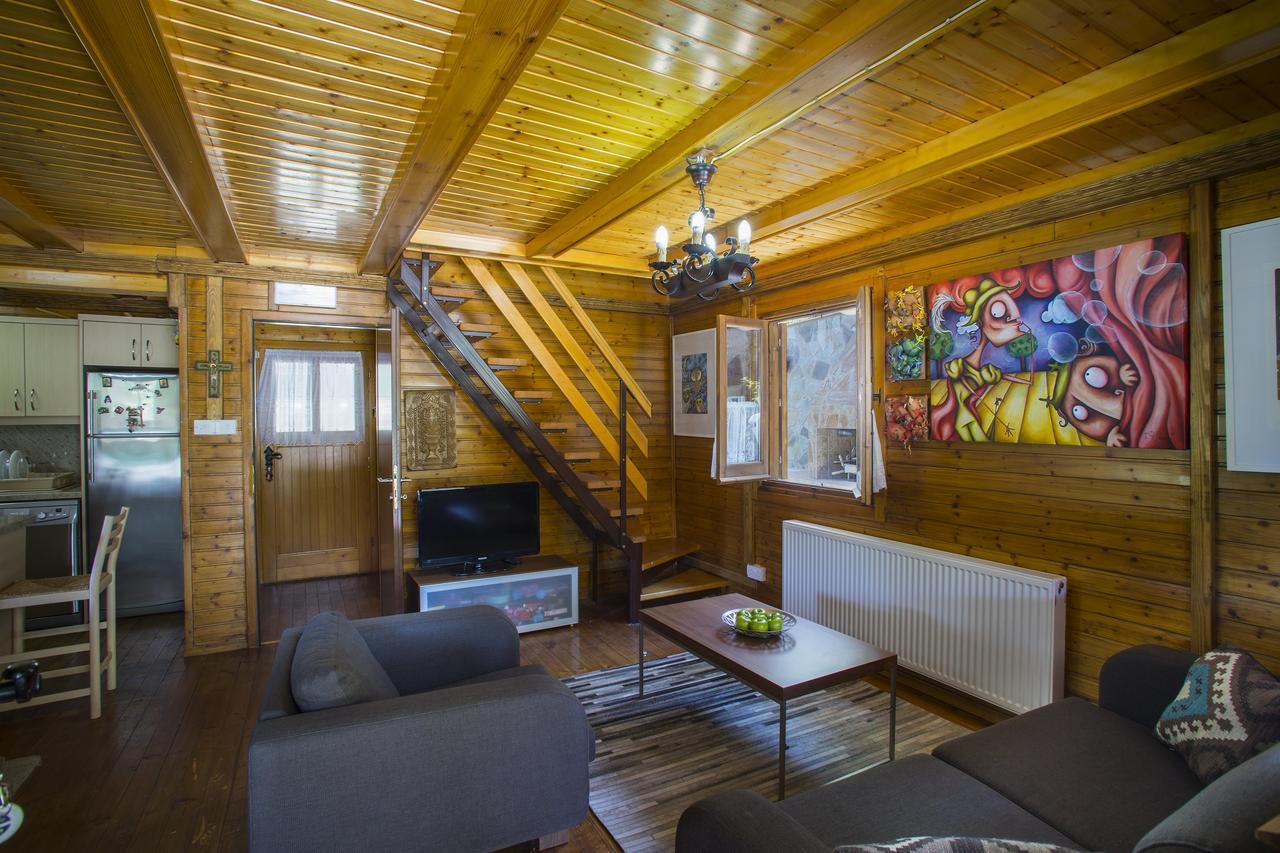 Ricky Chalet Near Troodos Spilia Extérieur photo