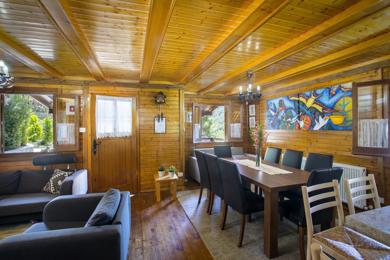 Ricky Chalet Near Troodos Spilia Extérieur photo