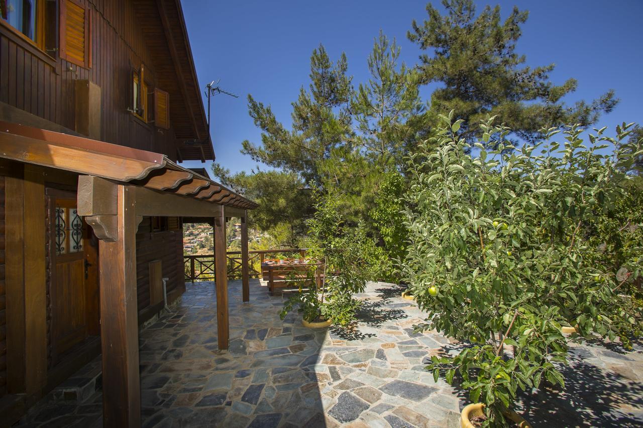 Ricky Chalet Near Troodos Spilia Extérieur photo
