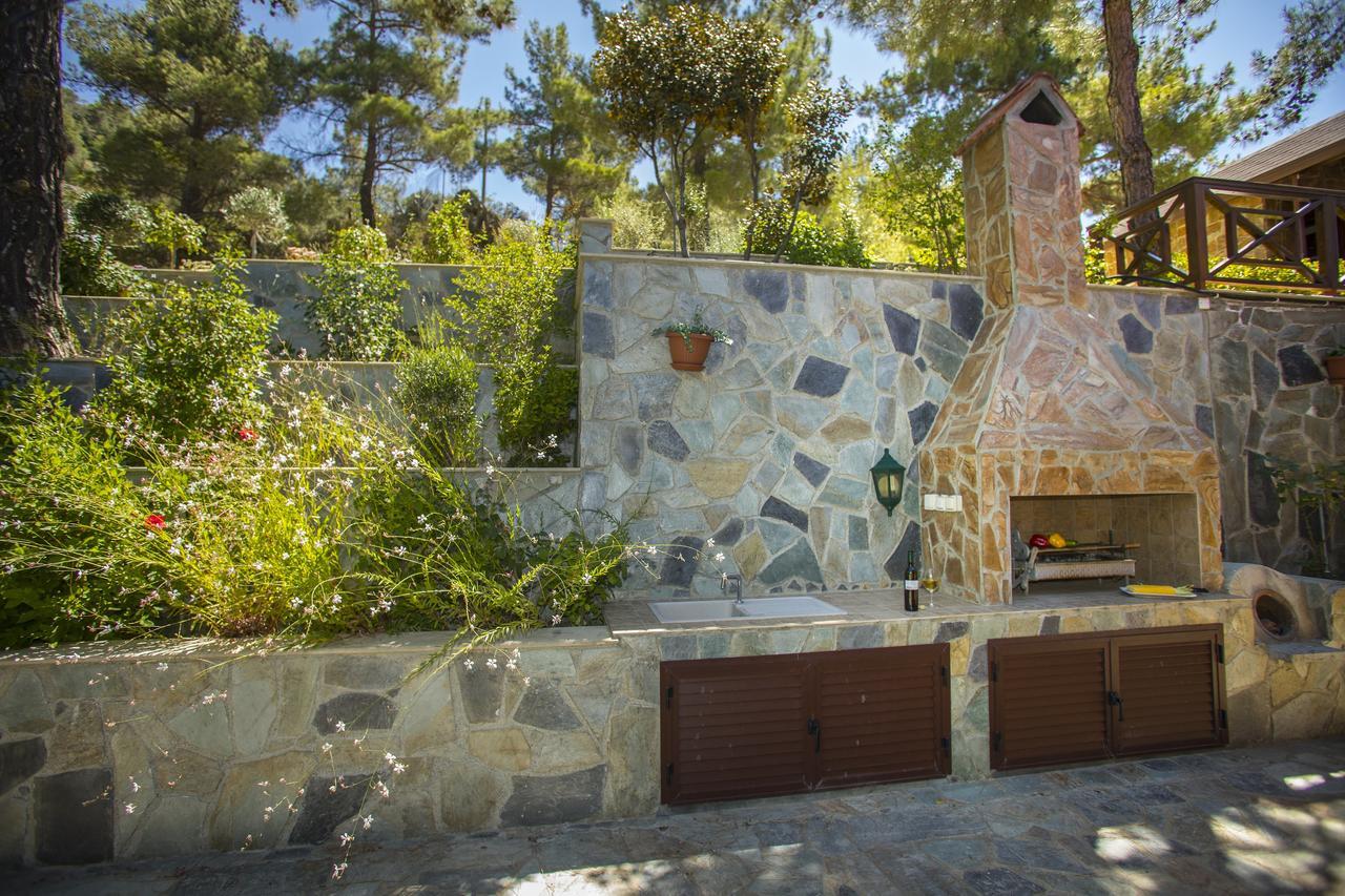 Ricky Chalet Near Troodos Spilia Extérieur photo