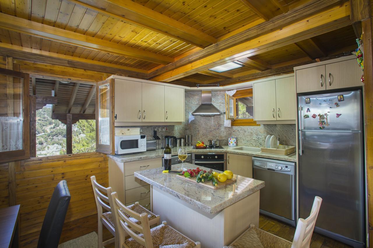 Ricky Chalet Near Troodos Spilia Extérieur photo