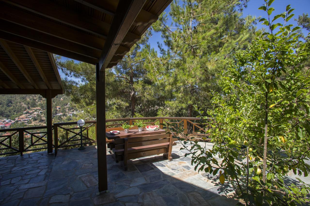 Ricky Chalet Near Troodos Spilia Extérieur photo