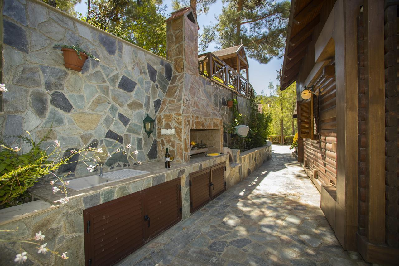 Ricky Chalet Near Troodos Spilia Extérieur photo